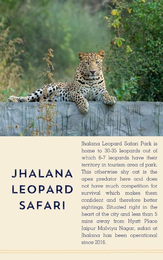 Hyatt Place Jaipur Malviya Nagar מראה חיצוני תמונה Jhalana Leopard