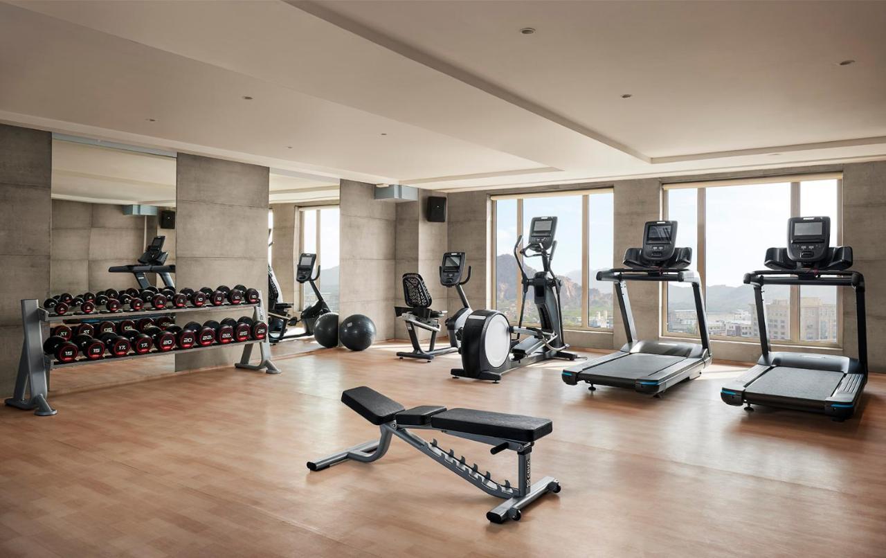 Hyatt Place Jaipur Malviya Nagar מראה חיצוני תמונה A gym in a hotel